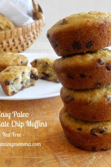 Paleo Chocolate Chip Cookies With Cassava Flour Nut Free The Paleo