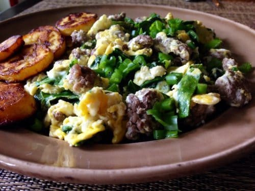 Low FODMAP Paleo Meal Ideas