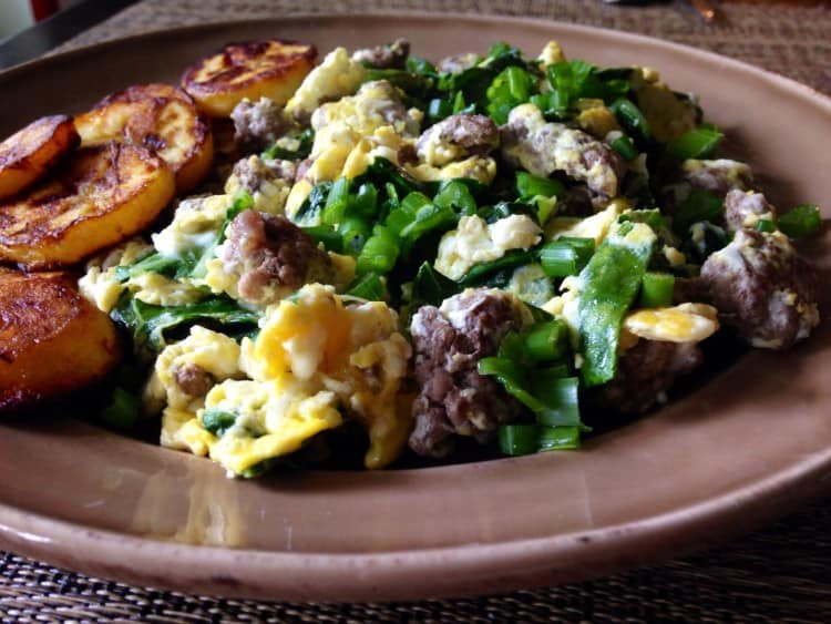Easy Paleo Scrambled Eggs Recipe and Nutrition - Eat This Much