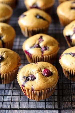 Simple Paleo Blueberry Muffins {Grain Free, Dairy Free}