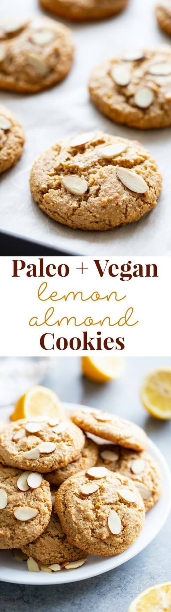 Chewy Lemon Almond Cookies {Paleo, Vegan}