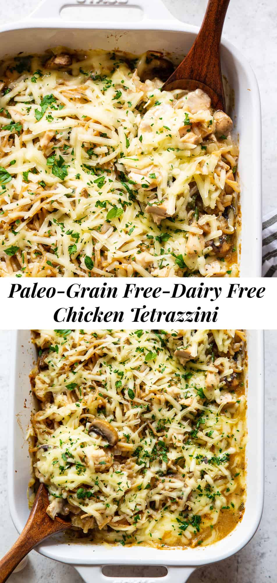 Paleo Chicken Tetrazzini {Grain Free, Dairy Free}